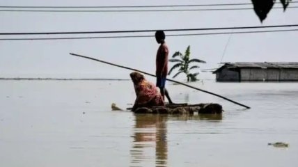 Непогода в Индии: наводнения унесли 50 жизней, миллионы людей пострадали