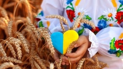 Украина отмечает День Конституции: основному закону страны исполнилось 25 лет