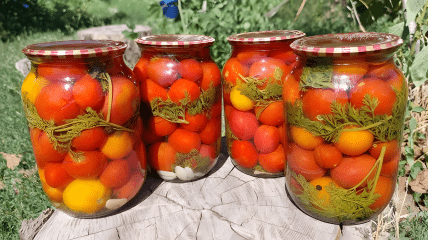 Маринованные помидоры с морковной ботвой имеют насыщенный вкус