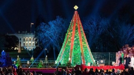 Полиция снимала мужчину с рождественской елки у Белого дома