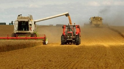 Ще одна країна ЄС може заборонити імпорт зерна з України: Єврокомісія вже різко відреагувала