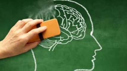 Специалисты назвали лучшие продукты для улучшения памяти 