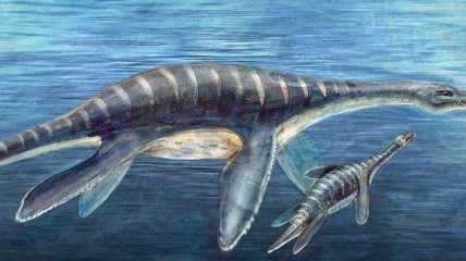Ученые нашли останки загадочного морского чудовища