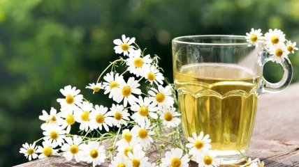Чай с ромашкой защищает от рака