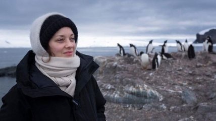 Марион Котийяр вместе с учеными отправилась в Антарктиду: причина