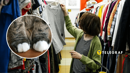 Кот на секонде