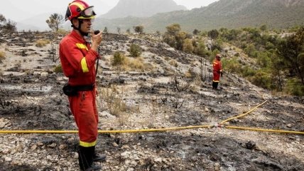 Пожары в Испании охватили 5 тыс гектаров