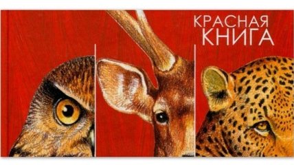 Животные из Красной книги Украины, которые могут исчезнуть в этом году 