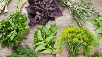 Свіжа зелень