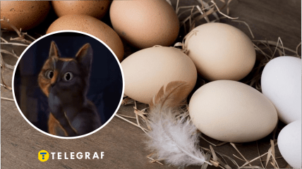 В Днепре произошел смешной курьез с яйцами в магазине