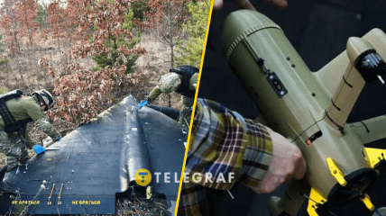 Shahed VS дрон-перехоплювач