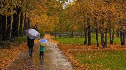 Погода в Украине 14 октября: будет облачно с прояснениями, местами дожди