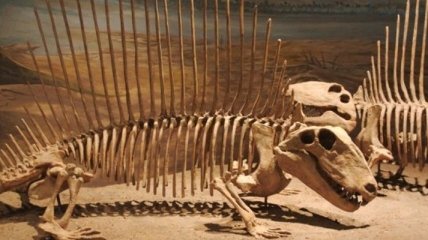 На северо-востоке Китая археологи обнаружили следы динозавров