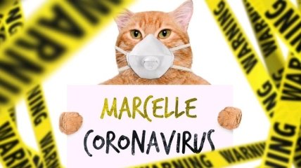 #CORONAVIRUS: Marcelle представила песню о пандемии (Видео)