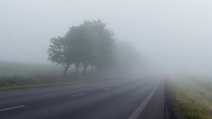 Укравтодор попереджає водіїв про туман та мокрі дороги