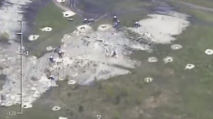 Самолет пограничников обнаружил "янтарные пустыни" (Видео)