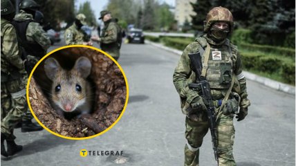 Колаж "Телеграф"