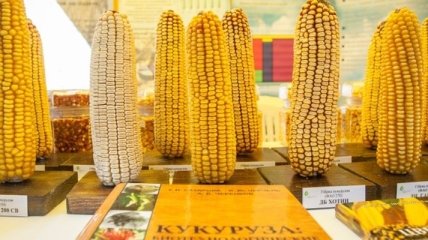 Страны ЕС стали покупать больше украинской сельхозпродукции