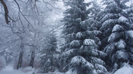 Прогноз погоды в Украине на сегодня: снег будет на севере и востоке