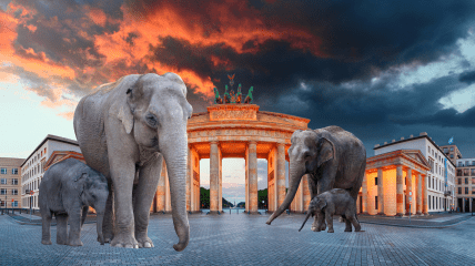 Слоны гуляют по центру Берлина