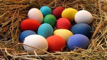 Натуральные красители для яиц, которые не навредят вашему организму 