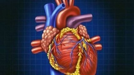7 факторов, предупреждающих о возможном сердечном приступе