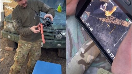 Бойцы ВСУ покормили собаку на позиции с помощью беспилотника
