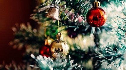Главный элемент праздника: как выбрать новогоднюю елку