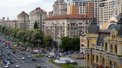 Жителям Киева предложили выбрать что будет расти на главной улице города