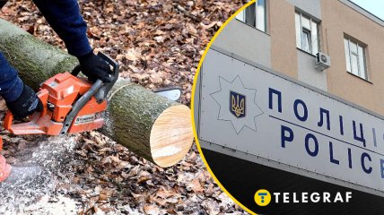 Поранився бензопилою і загинув: як заготівля дрів закінчилась трагедією на Полтавщині