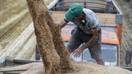 Украина должна попытаться договориться с Польшей о транзите зерна