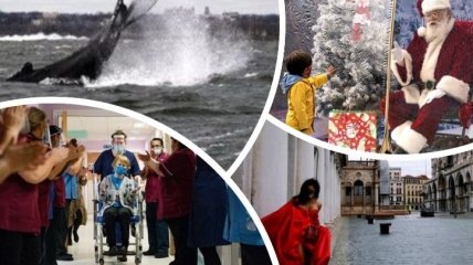 Потоп в Венеции, прыжки кита, коронавирус и атмосфера Нового года: в сети показали лучшие фото недели