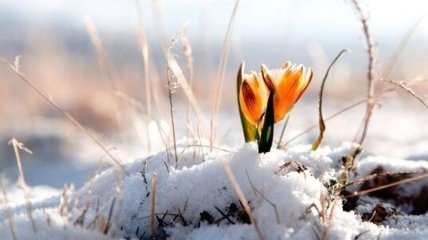 Почти весна: погода 14 февраля в Украине будет теплой и безветренной
