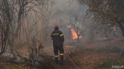 В Греции бушует лесной пожар