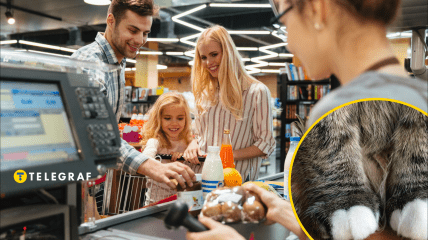 Кіт в магазині