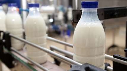 Минагрополитики намерено бороться с занижением цен на молочное сырье