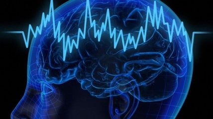 Ученые разработали новую технику, которая поможет понять работу мозга