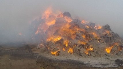 В Донецкой области сгорело 200 т соломы