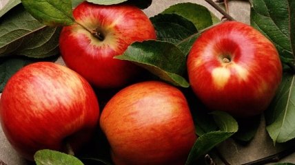 Ученые рассказали, откуда появились яблоки