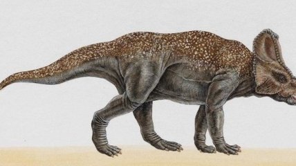 Британские ученые назвали самый "сексуальный" вид динозавров
