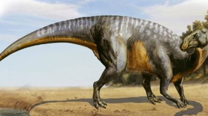 Із чого зроблений динозавр? Вчені з'ясували, як їх скелети витримували їхню величезну вагу