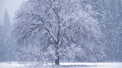 Прогноз погоды на Рождество: после сильных морозов Украину заметут метели
