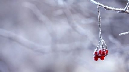 Зимнее "бабье лето" и сильные морозы: какой будет погода на День Святого Николая и Новый год