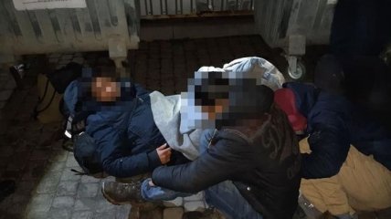 Стучали и кричали о помощи: на Львовщине полицейские освободили нелегалов из рефрижератора