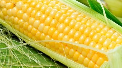 Кукуруза очень полезна для здоровья сердца