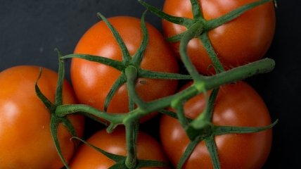 Выращивание помидоров - задача не из легких