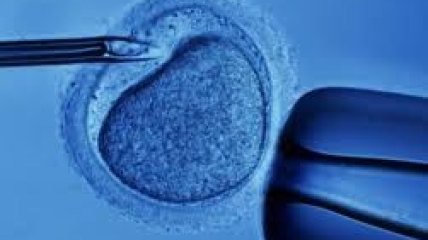 Из замороженных эмбрионов рождаются мальчики
