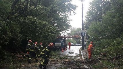 В Украине 180 населенных пунктов остались без света из-за сильного дождя и ветра