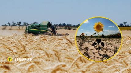 Через зростання температури культури потребують нових рішень