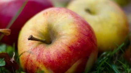 Польские, турецкие и молдавские яблоки оказались опасными